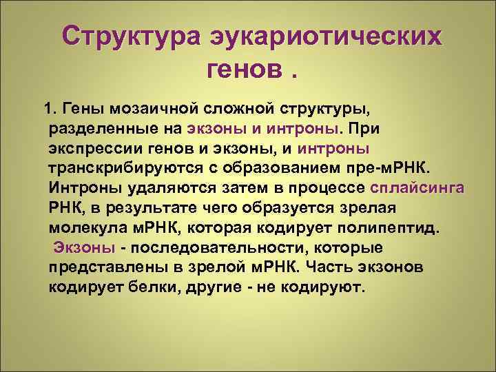 Структура эукариотических генов. 1. Гены мозаичной сложной структуры, разделенные на экзоны и интроны. При