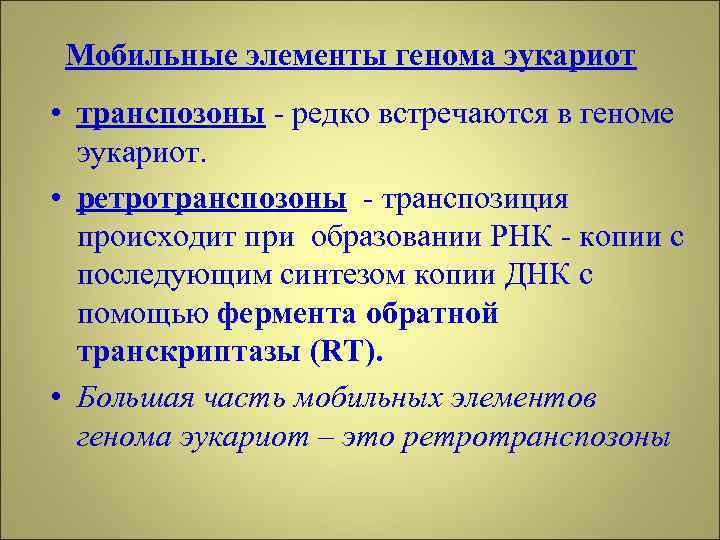 Мобильные элементы генома эукариот • транспозоны - редко встречаются в геноме эукариот. • ретротранспозоны