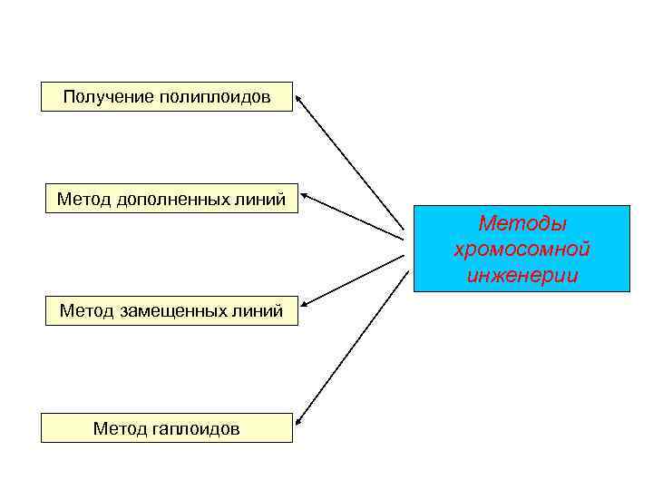 Получение полиплоидов Метод дополненных линий Методы хромосомной инженерии Метод замещенных линий Метод гаплоидов 