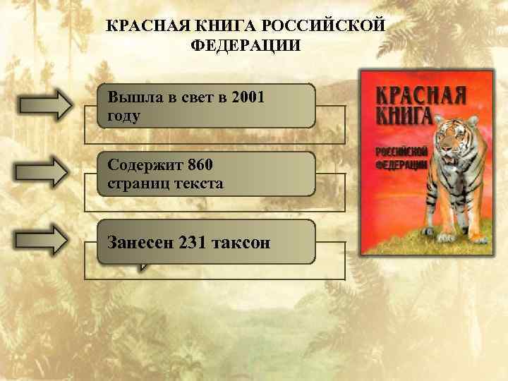 КРАСНАЯ КНИГА РОССИЙСКОЙ ФЕДЕРАЦИИ Вышла в свет в 2001 году Содержит 860 страниц текста