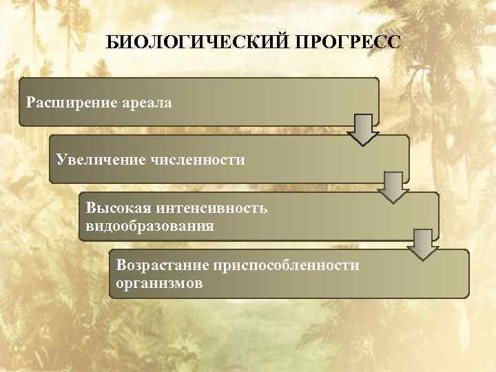 Охарактеризуйте вклад палеонтологии в понимание картины эволюционного процесса