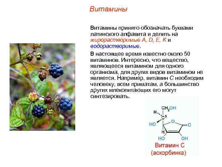 Витамины принято обозначать буквами латинского алфавита и делить на жирорастворимые А, D, E, K