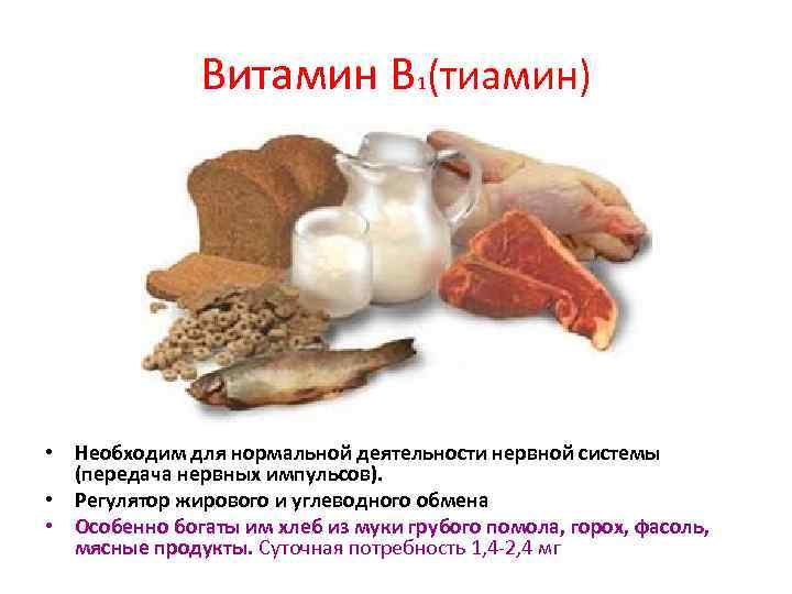 Витамин В 1(тиамин) • Необходим для нормальной деятельности нервной системы (передача нервных импульсов). •