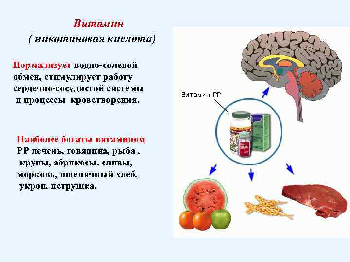 Витамин ( никотиновая кислота) Нормализует водно-солевой обмен, стимулирует работу сердечно-сосудистой системы и процессы кроветворения.