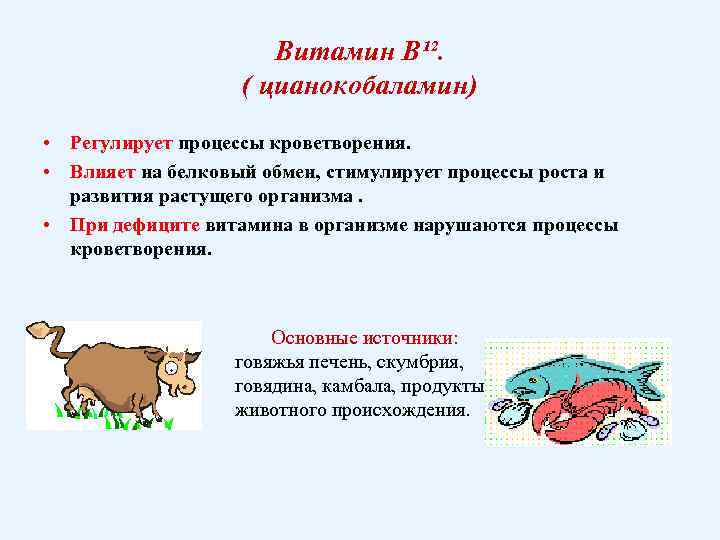 Витамин B¹². ( цианокобаламин) • Регулирует процессы кроветворения. • Влияет на белковый обмен, стимулирует