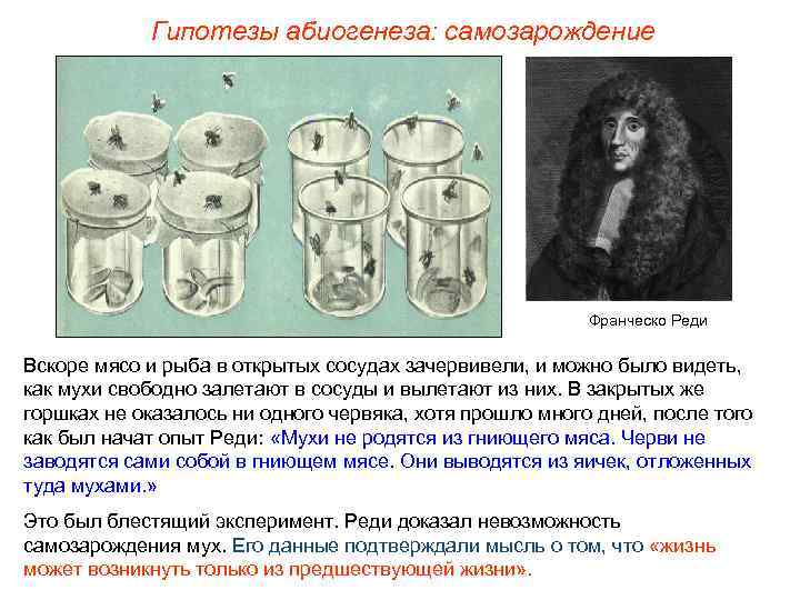 Гипотезы абиогенеза: самозарождение Франческо Реди Вскоре мясо и рыба в открытых сосудах зачервивели, и