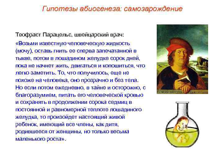 Гипотезы абиогенеза: самозарождение Теофраст Парацельс, швейцарский врач: «Возьми известную человеческую жидкость (мочу), оставь гнить