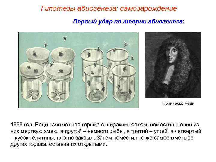 Гипотезы абиогенеза: самозарождение Первый удар по теории абиогенеза: Франческо Реди 1668 год. Реди взял