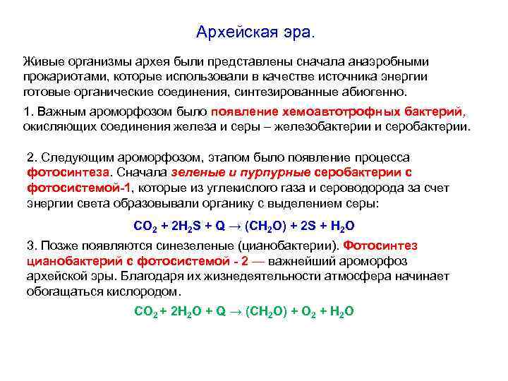 Архейская эра. Живые организмы архея были представлены сначала анаэробными прокариотами, которые использовали в качестве