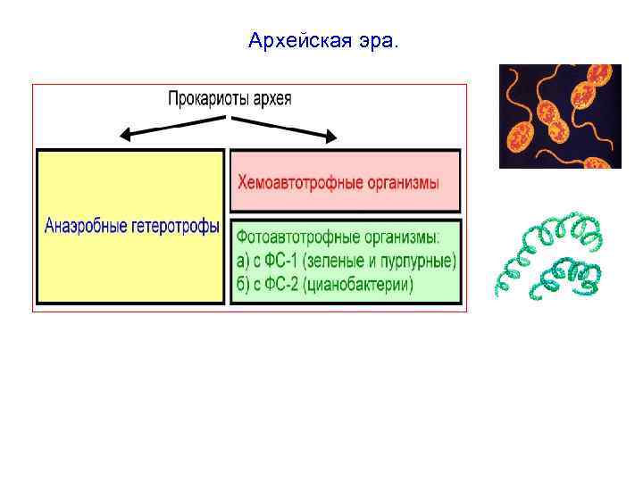 Архейская эра презентация по биологии 9 класс