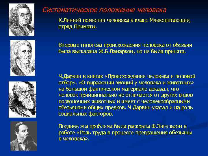 Систематическое положение человека К. Линней поместил человека в класс Млекопитающие, отряд Приматы. Впервые гипотеза