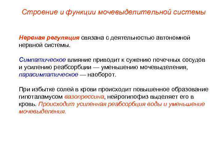 Строение и функции мочевыделительной системы Нервная регуляция связана с деятельностью автономной нервной системы. Симпатическое