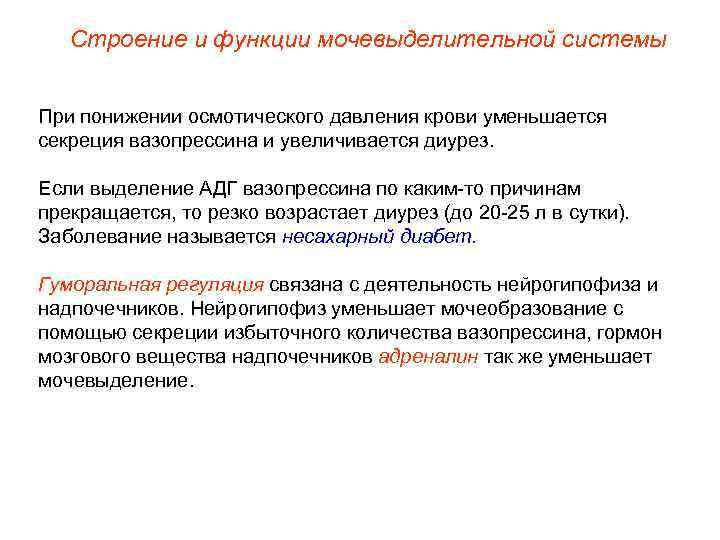 Вазопрессин диурез. При уменьшении секреции вазопрессина АДГ диурез. При увеличении секреции вазопрессина диурез. При уменьшении секреции вазопрессина. При увеличении секреции вазопрессина диурез уменьшается.