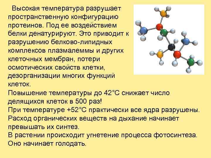 Высокая температура разрушает пространственную конфигурацию протеинов. Под ее воздействием белки денатурируют. Это приводит к