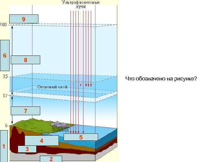 9 6 8 Что обозначено на рисунке? 7 1 5 4 3 2 