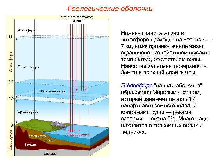 Проект охрана биосферы