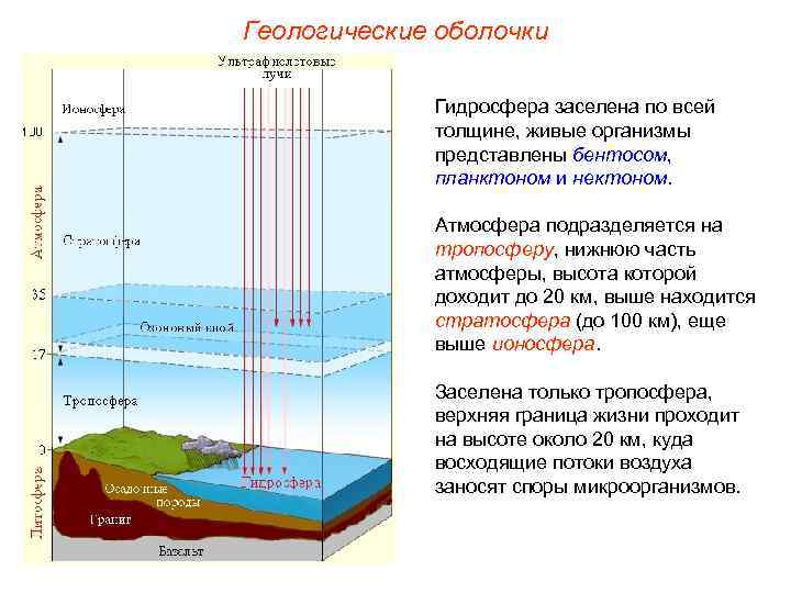 Схема связь биосферы с другими оболочками