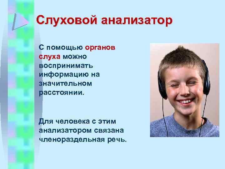 Орган помощи. Информация, полученная с помощью органов слуха. Инфа полученная с помощи органов слуха. Люди которые воспринимают информацию на слух. Информация полученная с помощью органов слуха 10 букв.