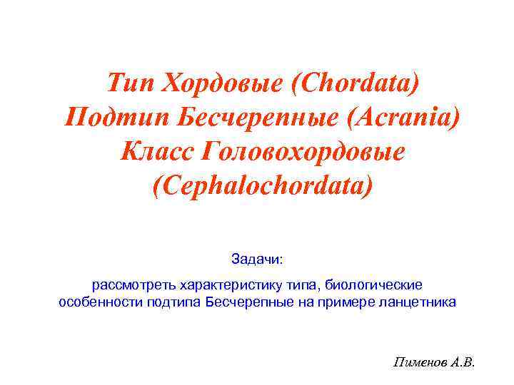 Тип Хордовые (Chordata) Подтип Бесчерепные (Acrania) Класс Головохордовые (Cephalochordata) Задачи: рассмотреть характеристику типа, биологические