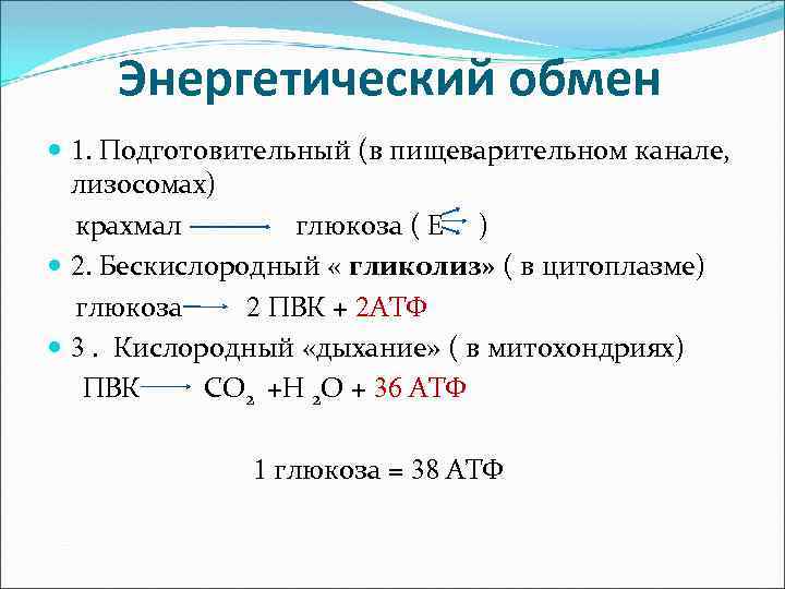 Энергетический обмен 1. Подготовительный (в пищеварительном канале, лизосомах) крахмал глюкоза ( Е ) 2.