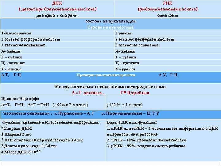 ДНК РНК ( дезоксирибонуклеиновая кислота) (рибонуклеиновая кислота) две цепи в спирали одна цепь состоят