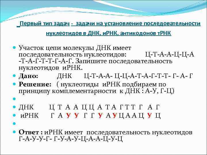 На фрагменте одной цепи днк нуклеотиды расположены в последовательности ттцагатгцата нарисуйте схему