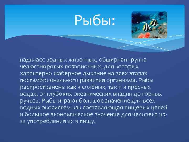 Рыбы: надкласс водных животных, обширная группа челюстноротых позвоночных, для которых характерно жаберное дыхание на