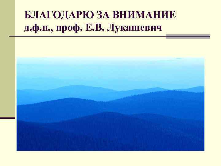 БЛАГОДАРЮ ЗА ВНИМАНИЕ д. ф. н. , проф. Е. В. Лукашевич 
