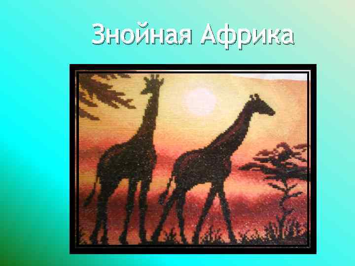 Знойная Африка 