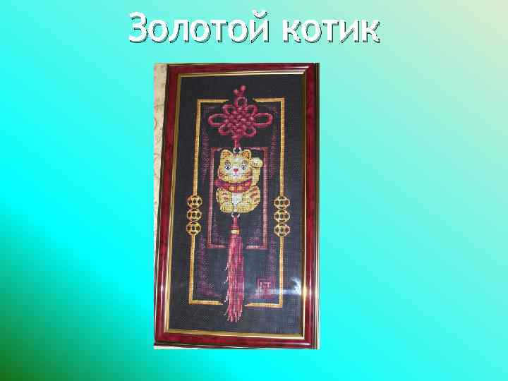 Золотой котик 