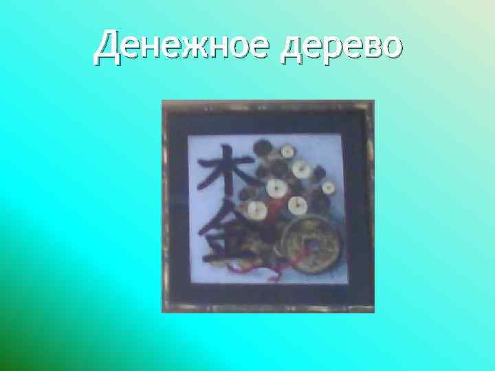 Денежное дерево 