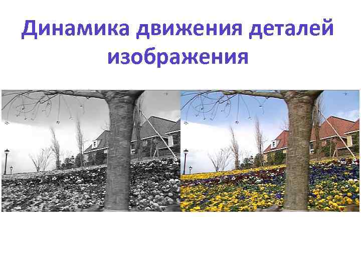 Динамика движения деталей изображения 