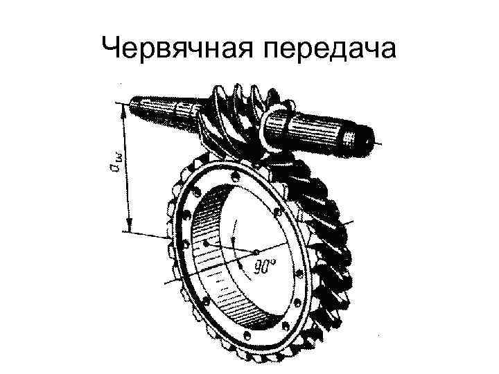 Рисунок червячной передачи