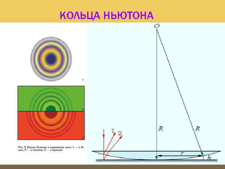 КОЛЬЦА НЬЮТОНА 