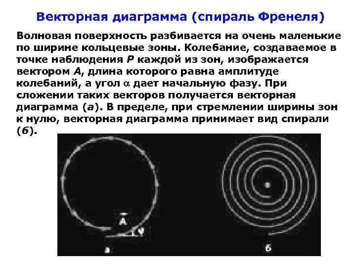 Векторная диаграмма френеля