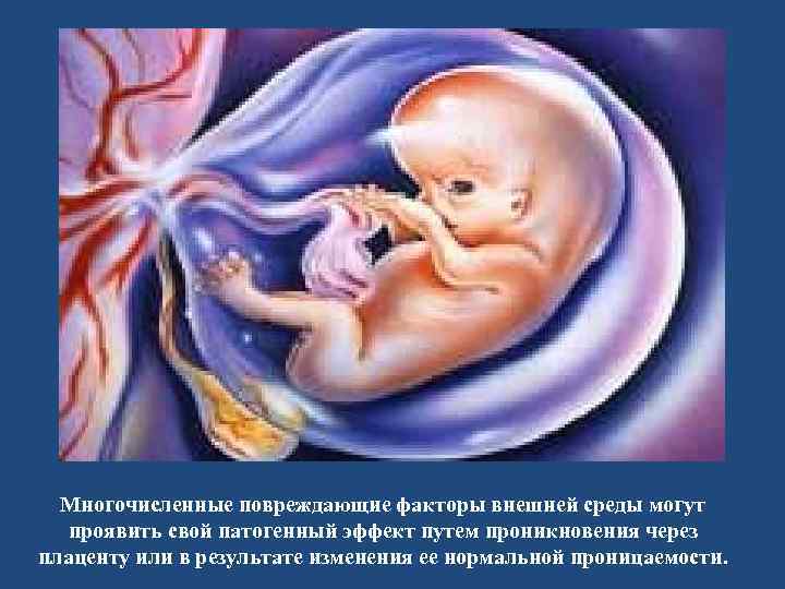Многочисленные повреждающие факторы внешней среды могут проявить свой патогенный эффект путем проникновения через плаценту