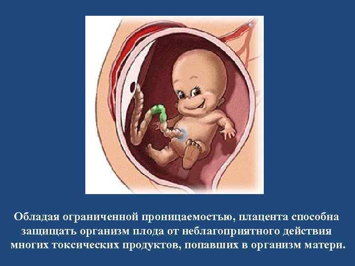 Обладая ограниченной проницаемостью, плацента способна защищать организм плода от неблагоприятного действия многих токсических продуктов,