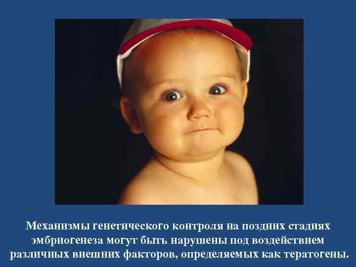 Механизмы генетического контроля на поздних стадиях эмбриогенеза могут быть нарушены под воздействием различных внешних