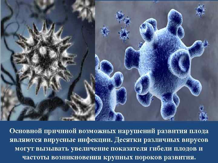Основной причиной возможных нарушений развития плода являются вирусные инфекции. Десятки различных вирусов могут вызывать