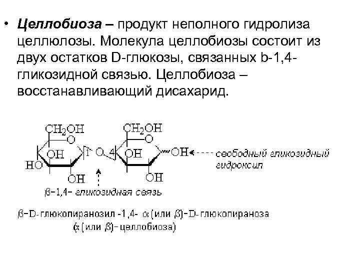  • Целлобиоза – продукт неполного гидролиза целлюлозы. Молекула целлобиозы состоит из двух остатков