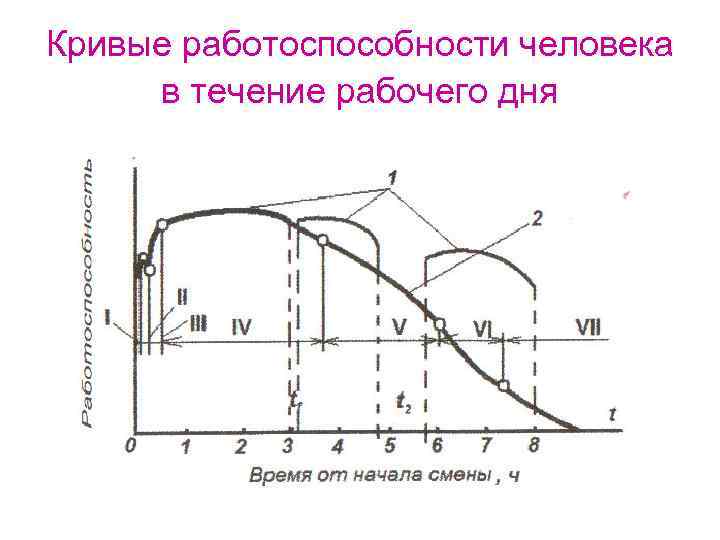 Кривые работоспособности человека в течение рабочего дня 