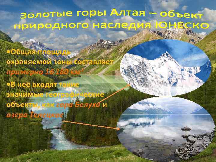  • Общая площадь охраняемой зоны составляет примерно 16 180 км² • В неё