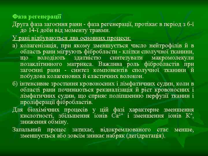 Фаза регенерації Друга фаза загоєння рани - фаза регенерації, протікає в період з 6