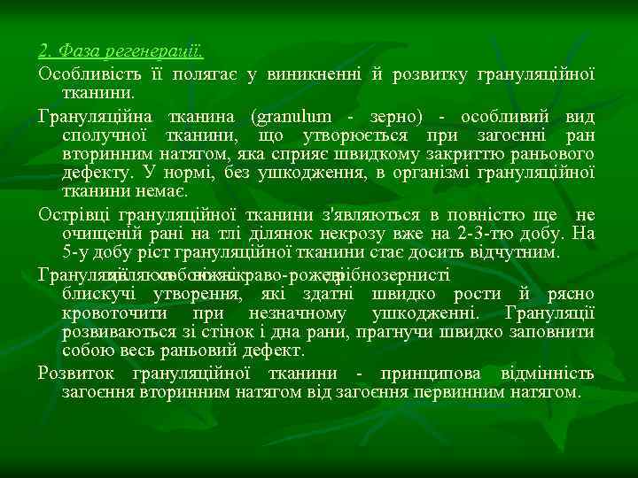 2. Фаза регенерації. Особливість її полягає у виникненні й розвитку грануляційної тканини. Грануляційна тканина