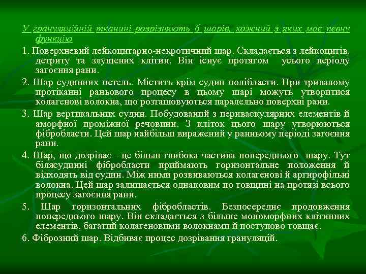 У грануляційній тканині розрізняють 6 шарів, кожний з яких має певну функцію 1. Поверхневий