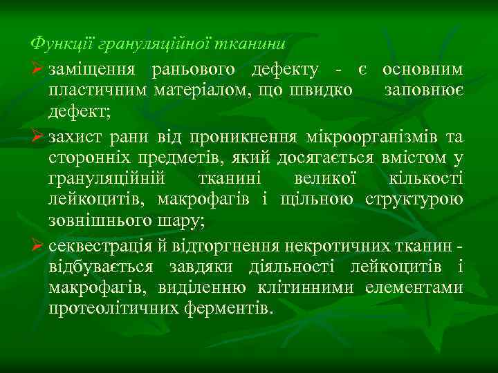 Функції грануляційної тканини Ø заміщення раньового дефекту - є основним пластичним матеріалом, що швидко