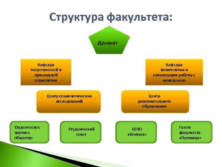 Деканат факультета. Структура университета Кафедра Факультет. Структура факультета вуза. Структура деканата факультета. Структура работы деканата.