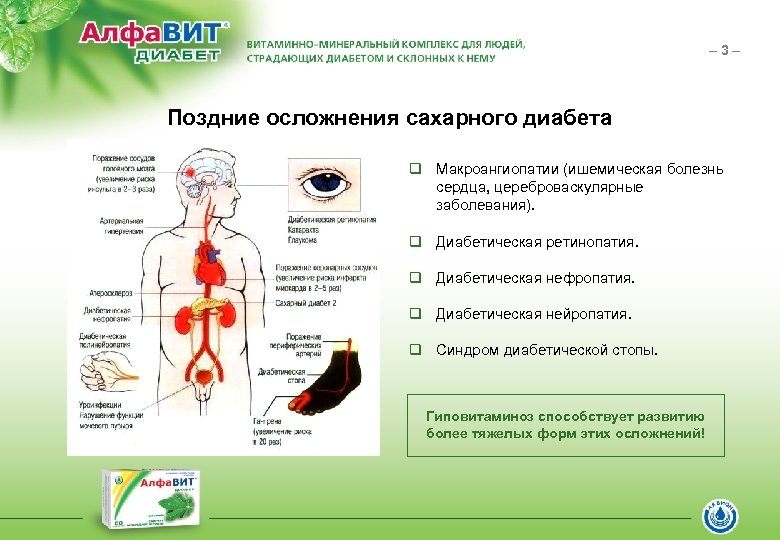– 3– Поздние осложнения сахарного диабета q Макроангиопатии (ишемическая болезнь сердца, цереброваскулярные заболевания). q
