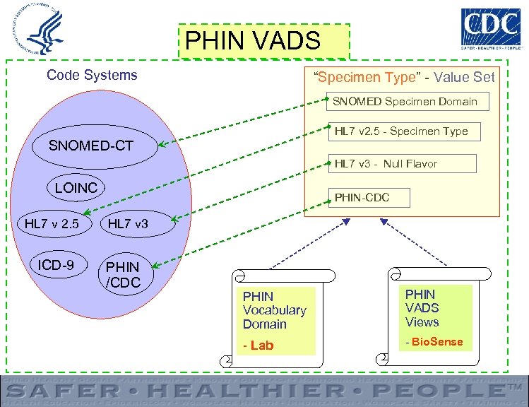 PHIN VADS Code Systems “Specimen Type” - Value Set SNOMED Specimen Domain HL 7