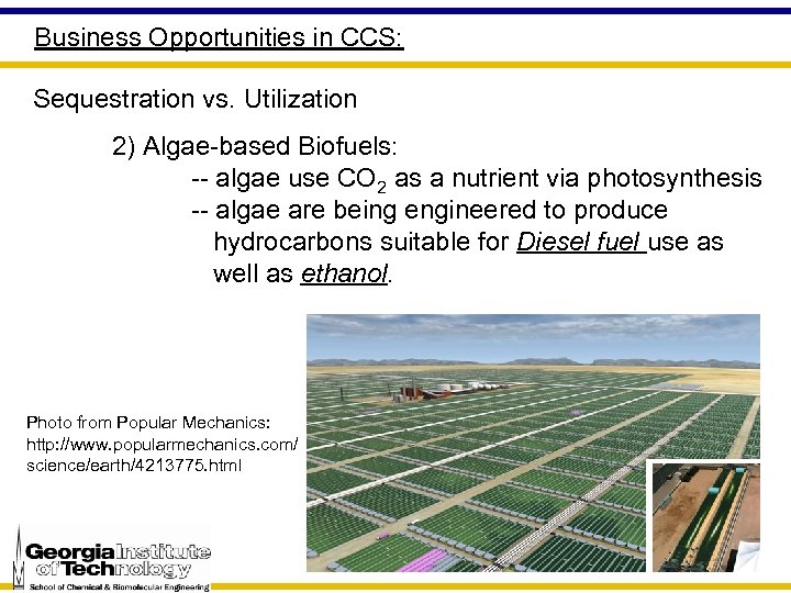 Business Opportunities in CCS: Sequestration vs. Utilization 2) Algae-based Biofuels: -- algae use CO